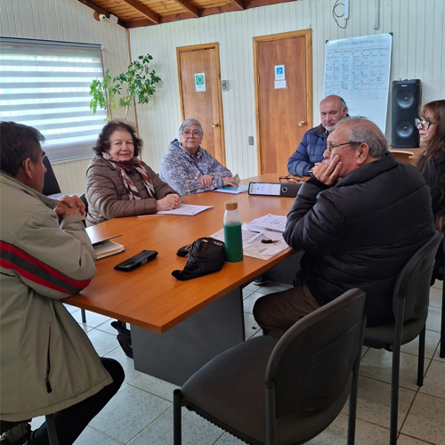 Comité Teodoro Schmidt